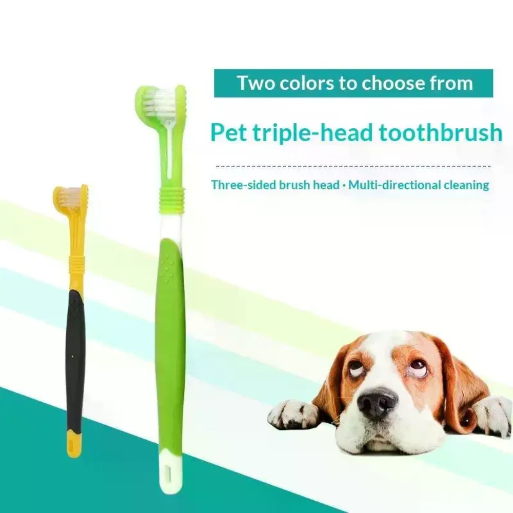 فرشاة أسنان للحيوانات الأليفة  - مراجعة Teeth Whitening Brush وسعره
