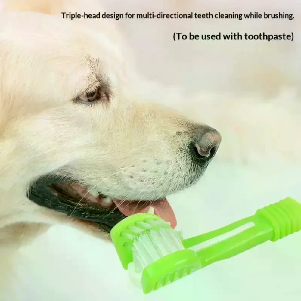 فرشاة أسنان للحيوانات الأليفة  - مراجعة Teeth Whitening Brush وسعره