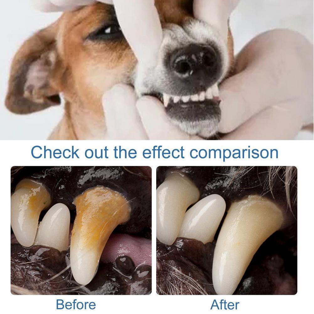 60 مل منظف فموي رغوي للحيوانات - مراجعة Teeth Whitening Brush وسعره
