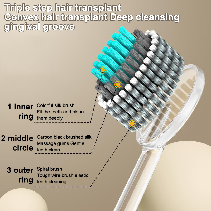 قطعتان من فرشاة الأسنان لتنظيف - مراجعة Teeth Whitening Effective وسعره